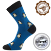 Obrazek VOXX Skarpety Snowdrop turkusowe 1 para