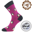 Obrazek VOXX Skarpetki Snowdrop fuxia 1 para