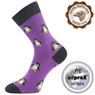 Obrazek VOXX skarpetki Snowdrop fioletowe 1 para