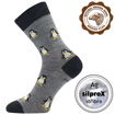 Obrazek VOXX Snowdrop skarpetki jasnoszare 1 para