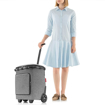 Obrazek Reisenthel Carrycruiser Plus Twist Silver 46 L