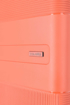 Obrazek Travelite Waal L Terracotta 98 L
