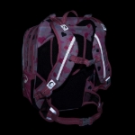 Obrazek Bagmaster BETA 24 Duży zestaw szkolny dla pierwszoklasistów - Dalmatyńczyk różowy 23 l