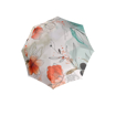 Obrazek DOPPLER Carbonsteel Long AC Floral - damski parasol na goleń wielokolorowy