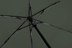 Obrazek DOPPLER Zero-Magic uni ivy green - w pełni automatyczny parasol damski/męski zielony