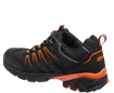 Obrazek ORLANDO XTR O2 NM Low