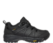 Obrazek PANTHER XTR O2 Low