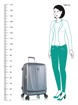 Obrazek Heys Vantage Smart Luggage M Slate Blue 61 L