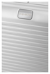 Obrazek Travelite Next Business wheeler Silver 34 L