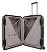 Obrazek Titan Litron Frame L Champagne 101