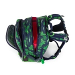 Obrazek Plecak szkolny Bagmaster LUMI 25 C - Dinosaur Green 18 l