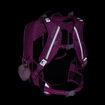 Obrazek Plecak szkolny Bagmaster LUMI 24 H - Teddy Bear Pink 18 l