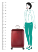 Obrazek Heys Portal Smart L Burgundy 105