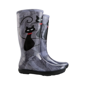 Obrazek dla kategorii damskie kalosze