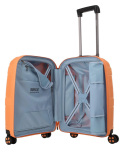 Obrazek IMPACKT IP1 S Garden apricot 38 L