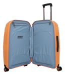 Obrazek IMPACKT IP1 M Morela ogrodowa 73 L