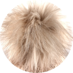 Obrazek VOXX czapka Encore beżowa 1 szt.