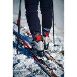 Obrazek Skarpety VOXX Vision jasnoszare 1 para