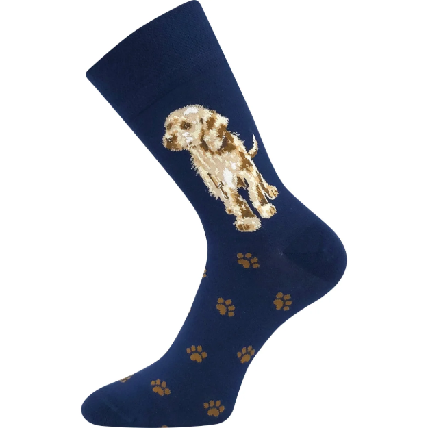 Obrazek LONKA Foxana skarpetki dla psa 3 pary