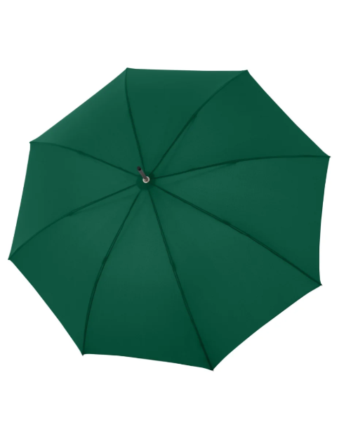 Obrazek DOPPLER MIA Graz - Parasolka Bare w kolorze zielonym