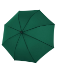 Obrazek DOPPLER Bristol AC - Parasol wysuwany zielony