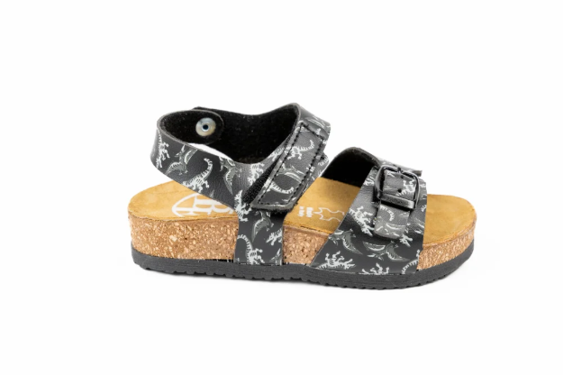 Obrazek Dětské pantofle s dinosaury