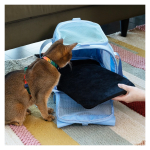 Obrazek Heys Pawsenger Pet Carrier Atmosphere 31 L