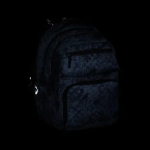 Obrazek Bagmaster ZIPSTER 25 B školní batoh – šedý Šedá 30 l